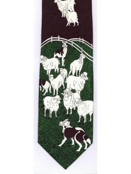 Sheep and Collie