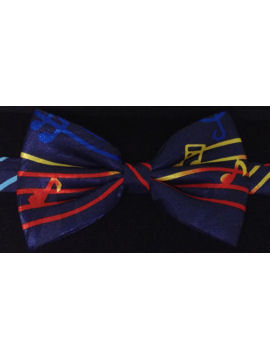 Music Rainbow Bow Tie