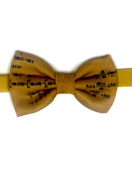 Maths Bow Tie