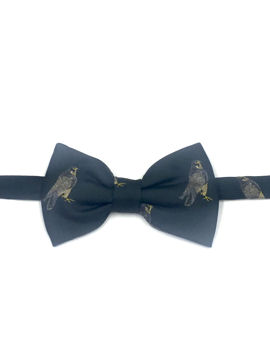 Falcons Bow Tie