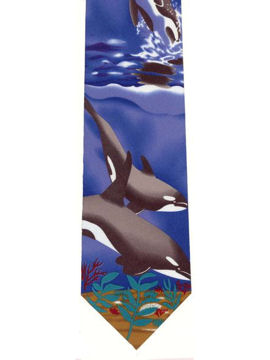 Orca Whale