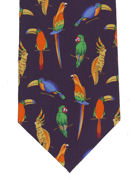 Parrots colourful - TIE STUDIO