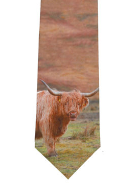 Highland Cattle