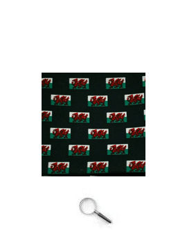 Welsh Dragon Flag