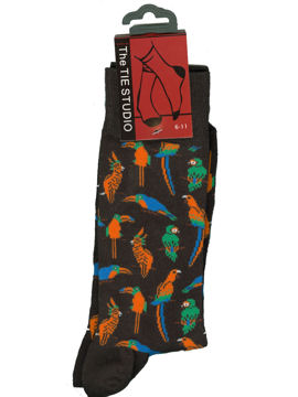 Parrot Socks