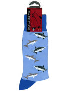 Sharks Socks  - TIE STUDIO