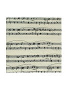 Music Manuscript White with black staves - TIE STUDIO